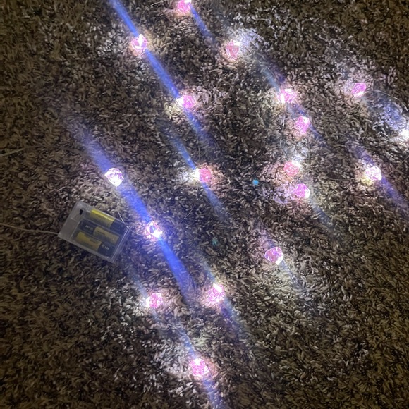 String lights - Picture 3 of 5